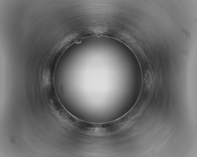 X0000110930212200906181436