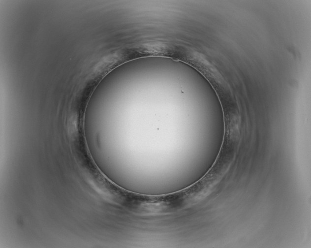 X0000110930213200906181436
