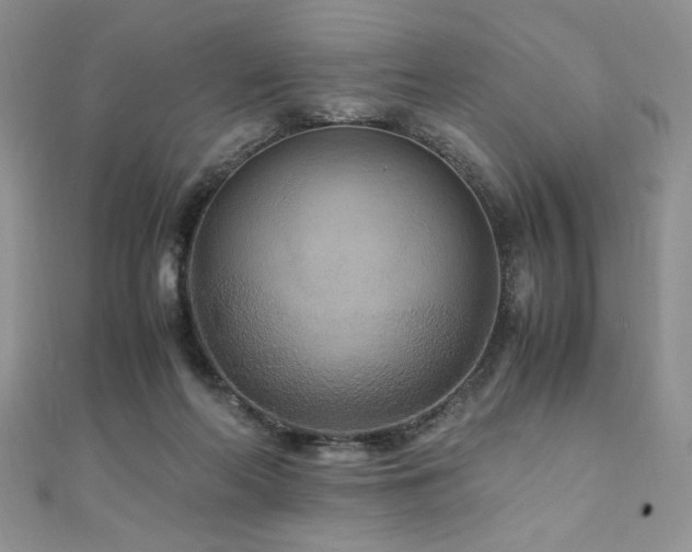 X0000110930214200906181436