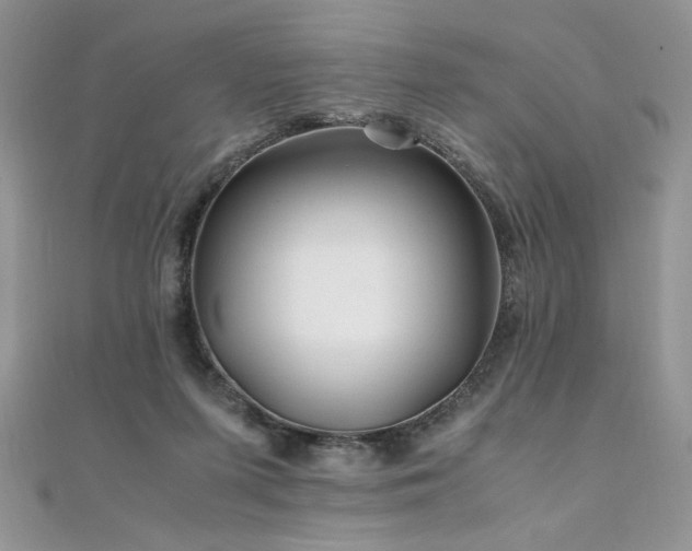 X0000110930215200906181436