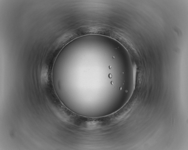 X0000110930216200906181436