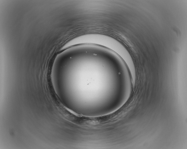 X0000110930217200906181436