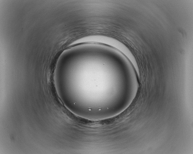 X0000110930219200906181436