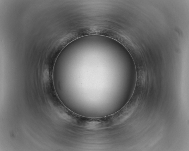 X0000110930220200906181435