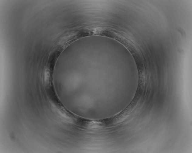 X0000110930222200906181435