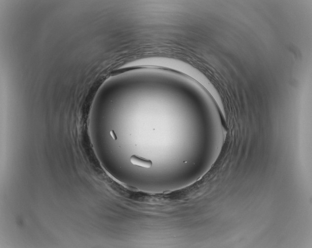 X0000110930223200906181435