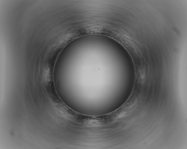 X0000110930224200906181435