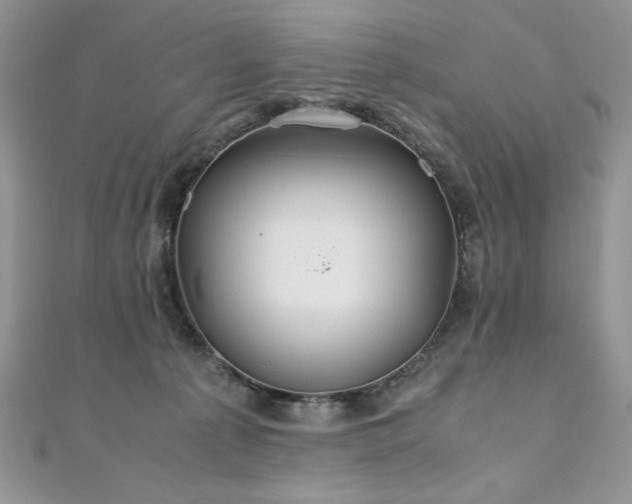 X0000110930225200906181435