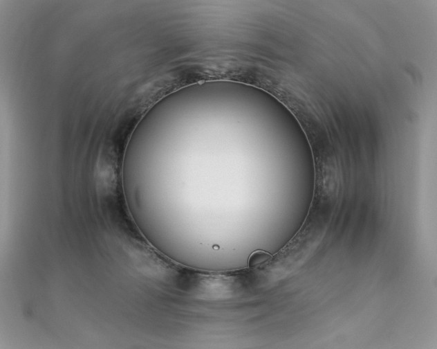 X0000110930226200906181435