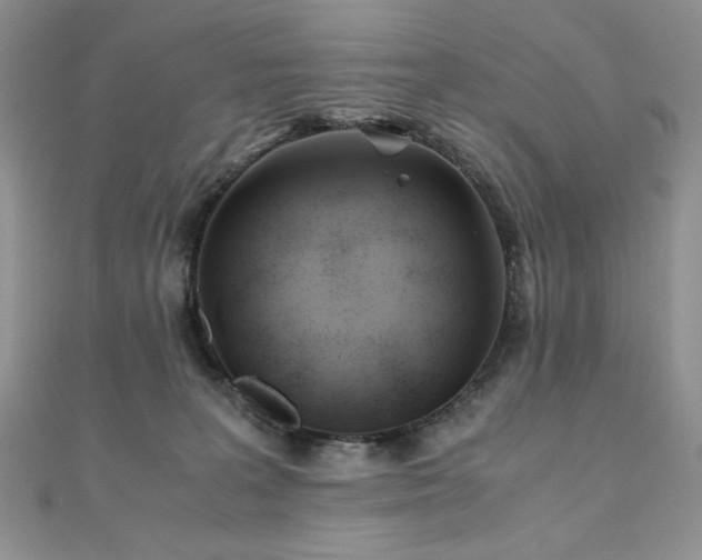 X0000110930227200906181435