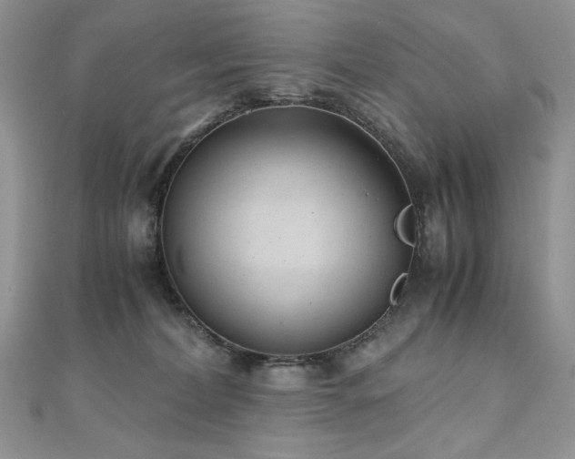 X0000110930228200906181435