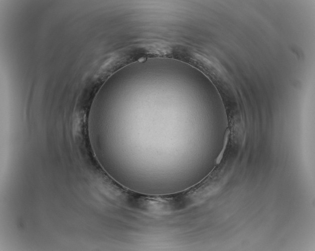 X0000110930229200906181435