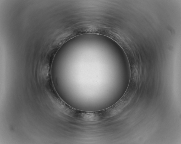 X0000110930230200906181435