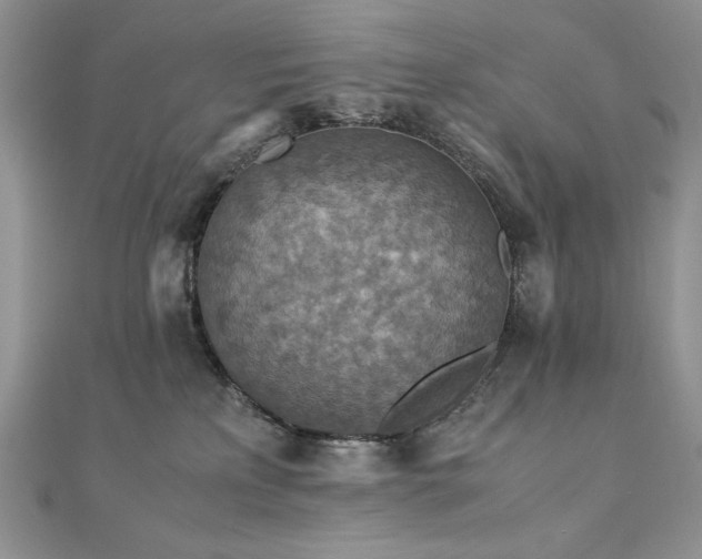 X0000110930233200906181435
