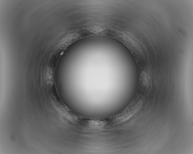 X0000110930234200906181435