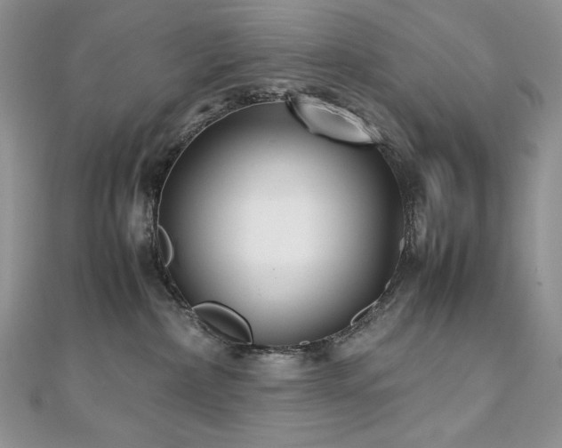 X0000110930236200906181435