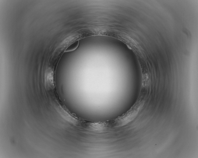 X0000110930238200906181435