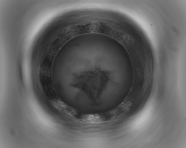 X0000110930239200906181435