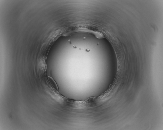 X0000110930240200906181435