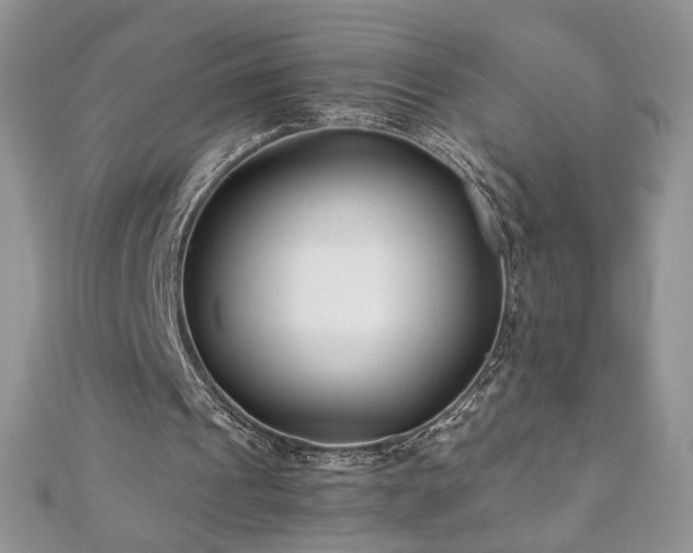 X0000110930241200906181434