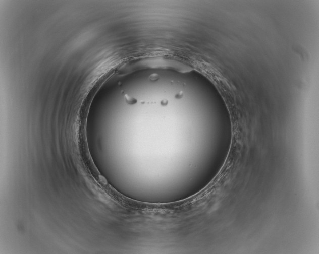 X0000110930242200906181434