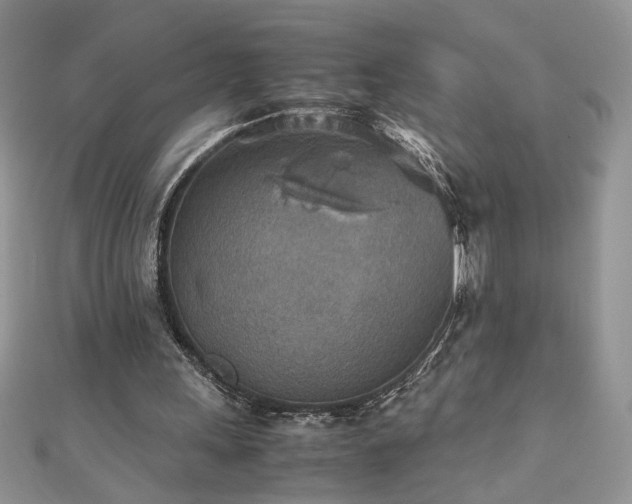 X0000110930243200906181435