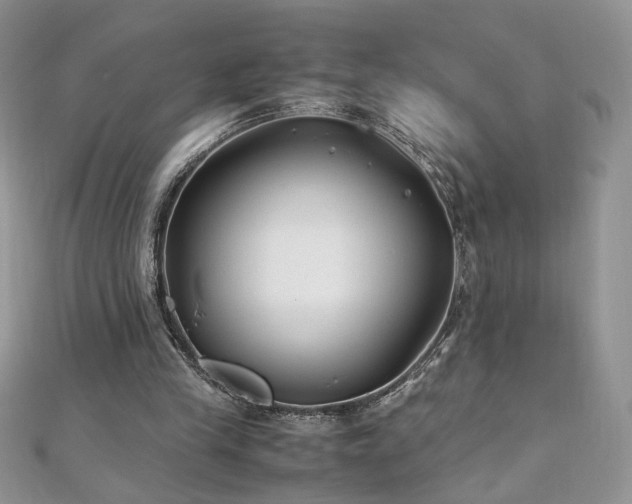 X0000110930245200906181435