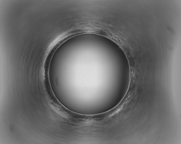X0000110930246200906181435