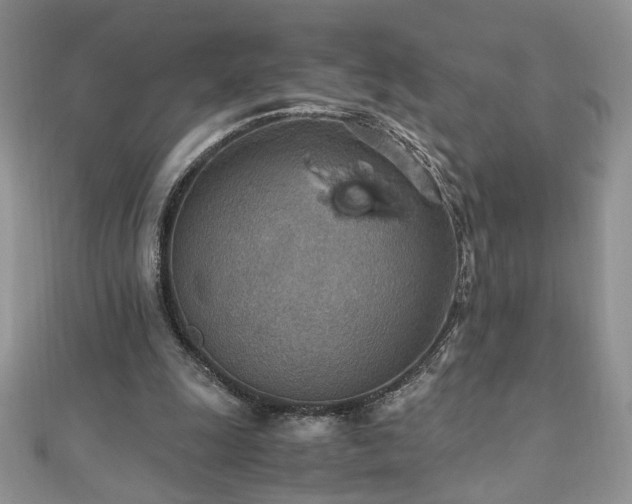 X0000110930247200906181435