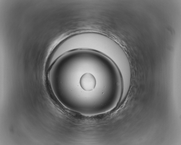 X0000110930248200906181435