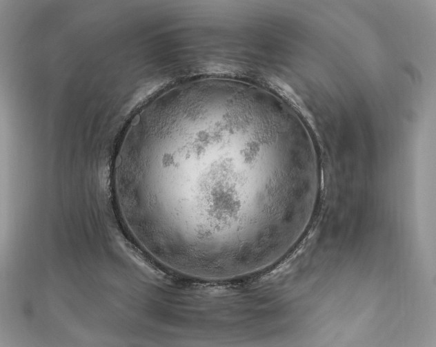 X0000110930249200906181435