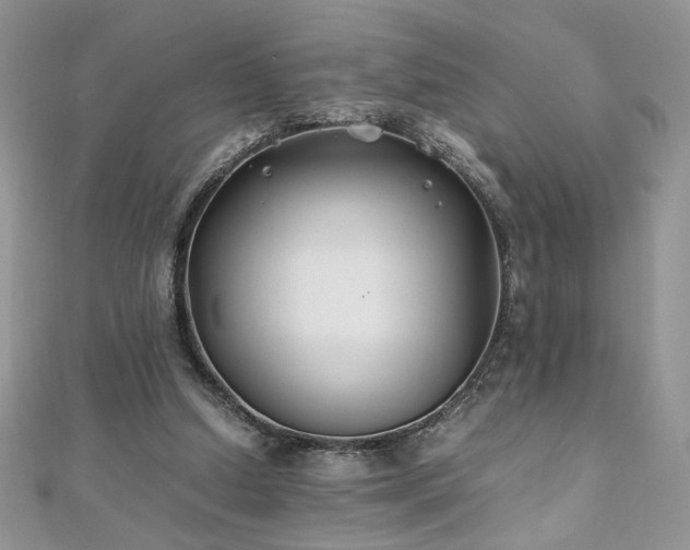 X0000110930250200906181435