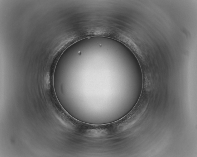X0000110930251200906181435