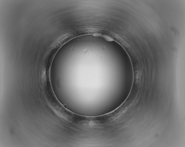 X0000110930254200906181435