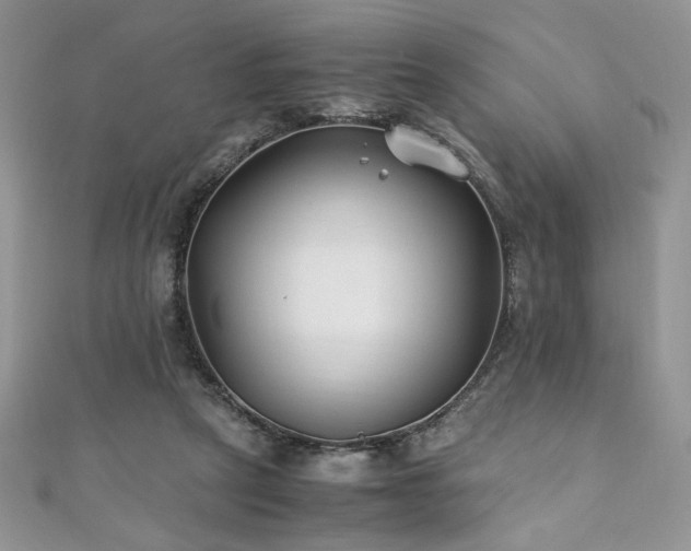 X0000110930257200906181435