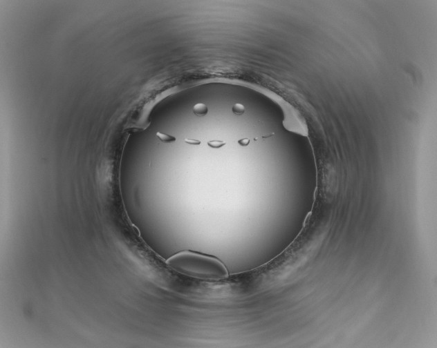 X0000110930260200906181435