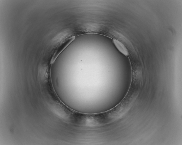 X0000110930264200906181435