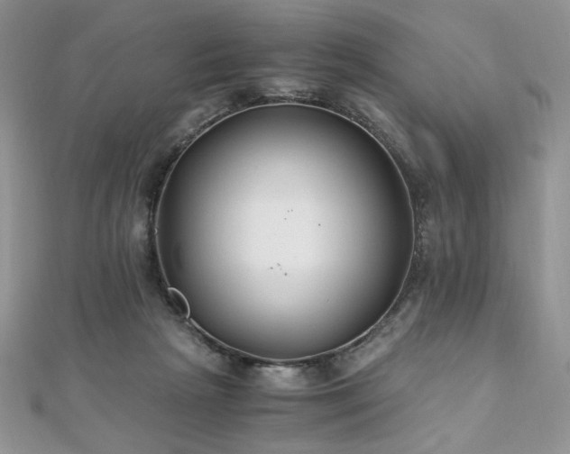 X0000110930265200906181435