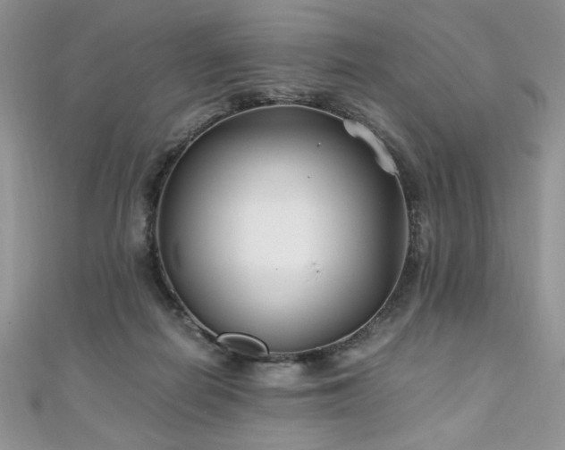 X0000110930266200906181435