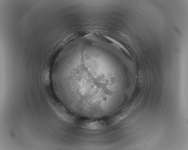 X0000110930267200906181435