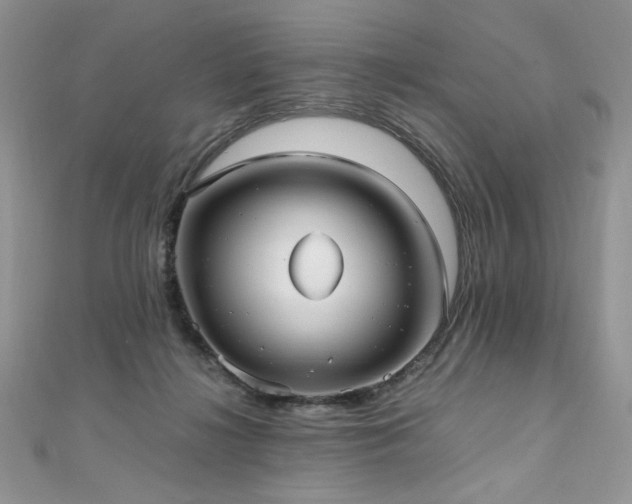 X0000110930268200906181435