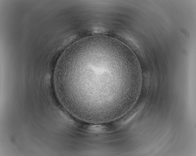X0000110930269200906181435