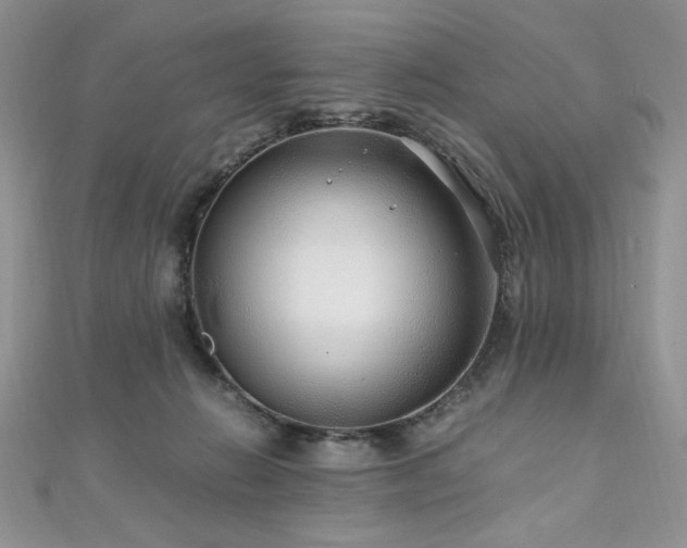 X0000110930270200906181435