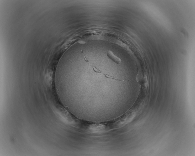 X0000110930271200906181435