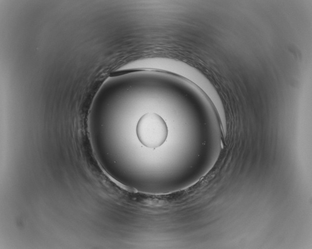 X0000110930272200906181435