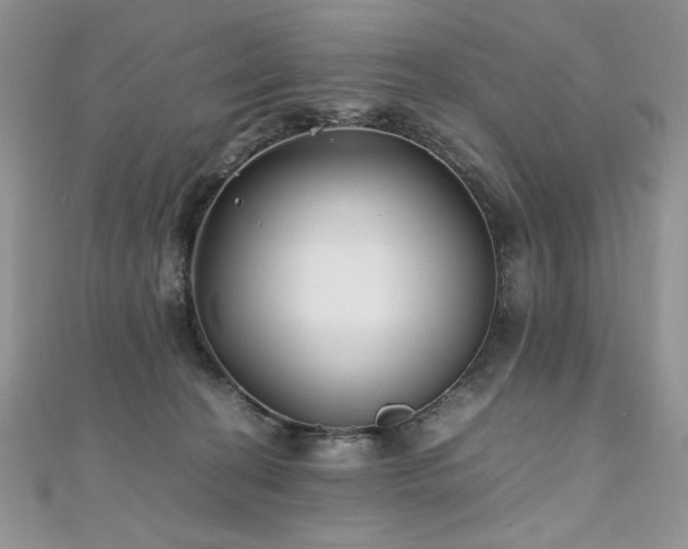 X0000110930274200906181435
