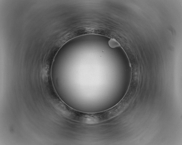 X0000110930275200906181435