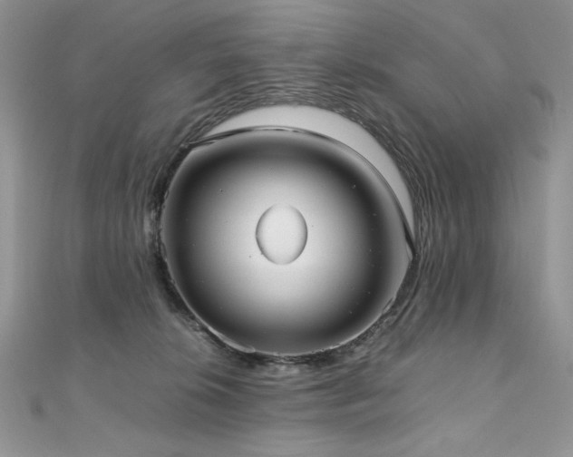 X0000110930276200906181435