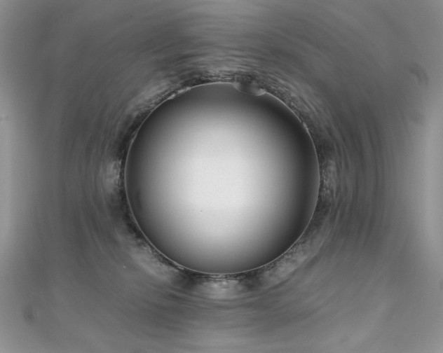 X0000110930278200906181435