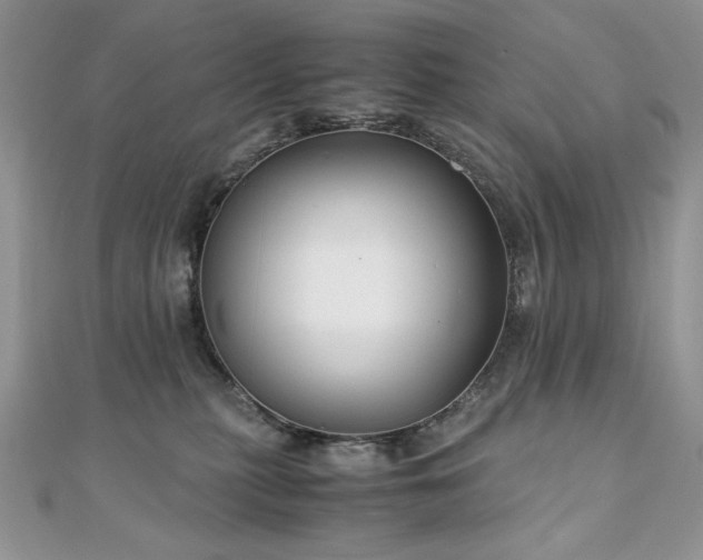 X0000110930279200906181435